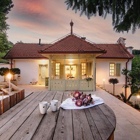 Vila Vilma Vineyard Cottage Lendava Exteriér fotografie