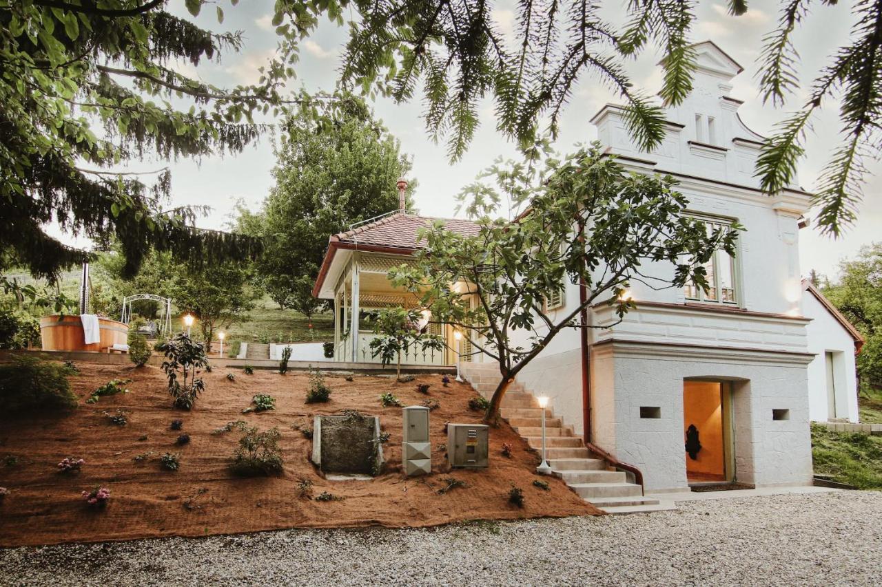 Vila Vilma Vineyard Cottage Lendava Exteriér fotografie